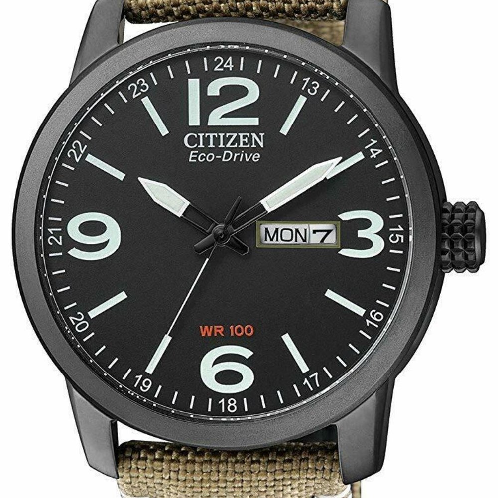 SALE! CITIZEN'S BLACK DIAL 42MM WATCH